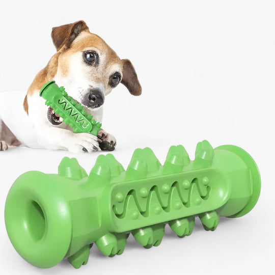 Rocky | Rubber Chew Toy - Cleans Teeth and Entertains Dogs