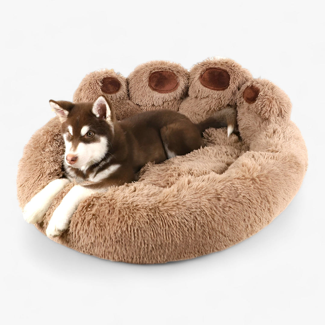 CozyPaws | Cozy Sofa for Pets - The Perfect Shelter for Dogs and Cats