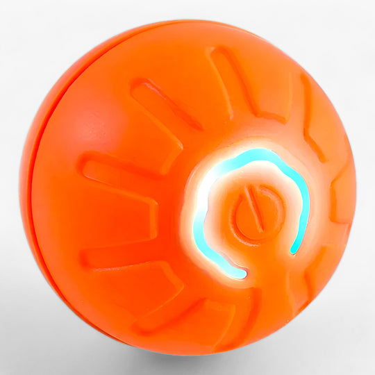 BOUNCY | Smart Dog Toy - Playful and Interactive for Lots of Fun