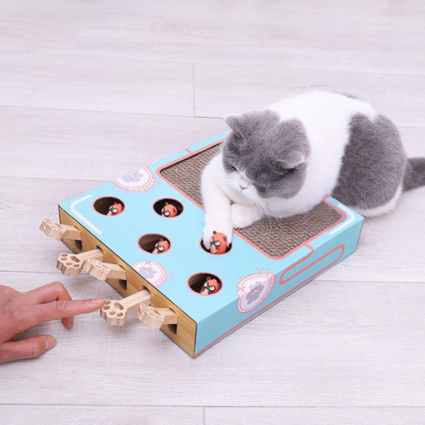 ClawCraze™ | Interactive Toy for Kittens - Stimulates Play