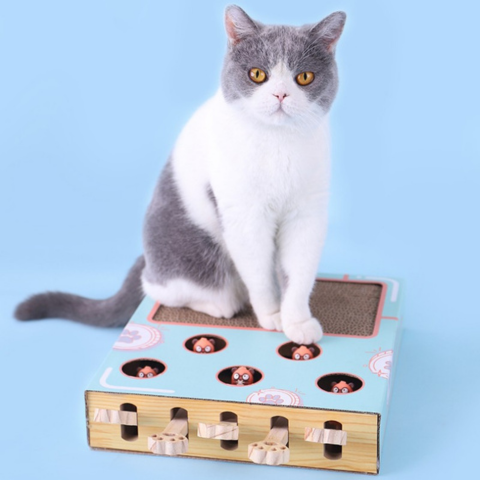 ClawCraze™ | Interactive Toy for Kittens - Stimulates Play