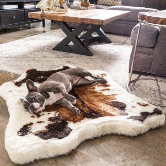 Premium Dog Sofa | Dog Bed - Comfortable and Elegant