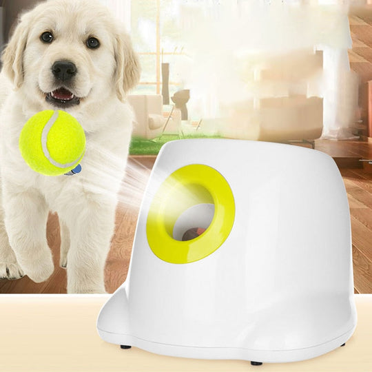 Furrlay™ | Automatic Tennis Ball Launcher - Endless Fun for Your Dog