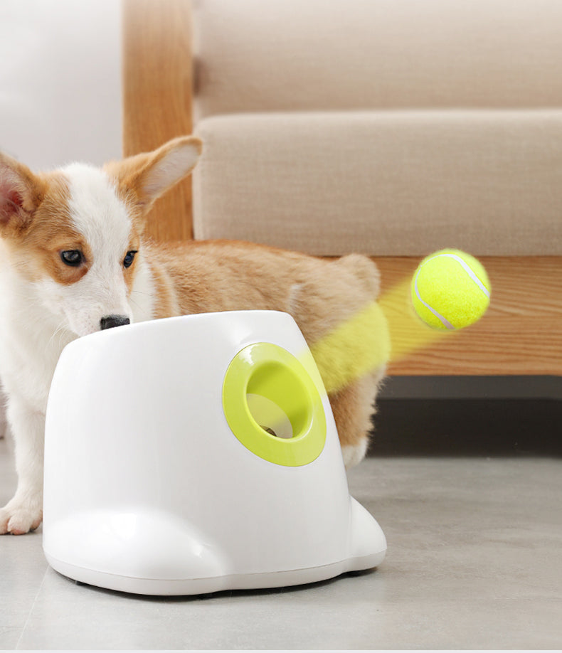 Furrlay™ | Automatic Tennis Ball Launcher - Endless Fun for Your Dog