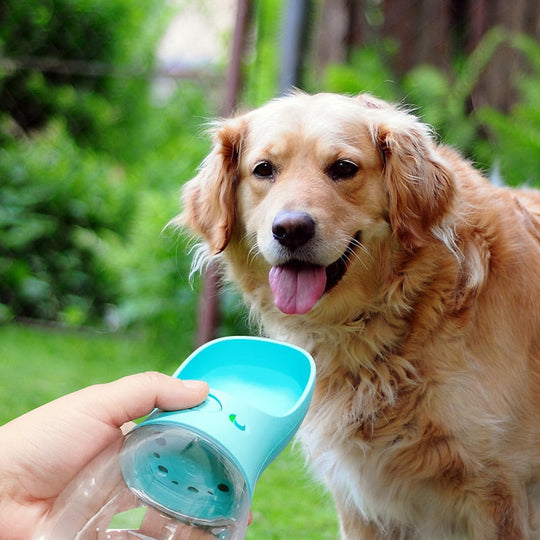 PawFeeder™ | Water Bottle for Dogs - Hydration on the Go