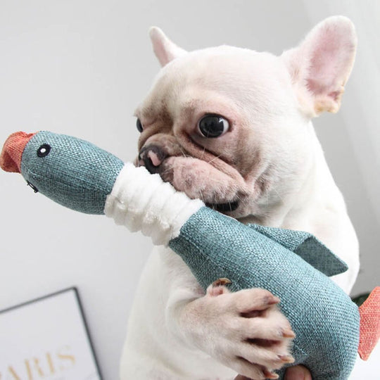 Quacky™ | Noisy Toy for Dogs - Entertains Your Dog