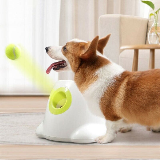 Furrlay™ | Automatic Tennis Ball Launcher - Endless Fun for Your Dog