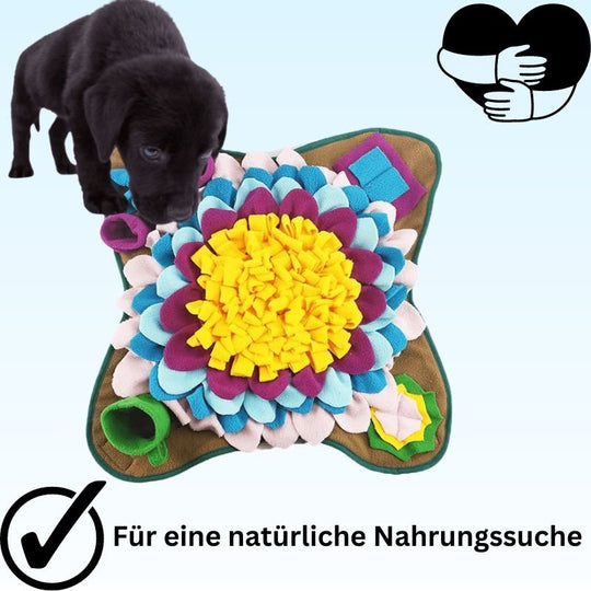 Snuffle Mat | Pet Toy - Stimulates Natural Foraging