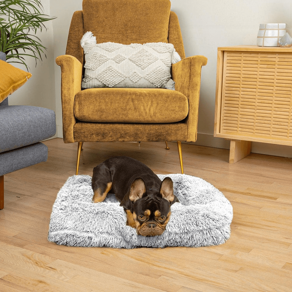 Dream Cushion for Dogs - DoggyDream™