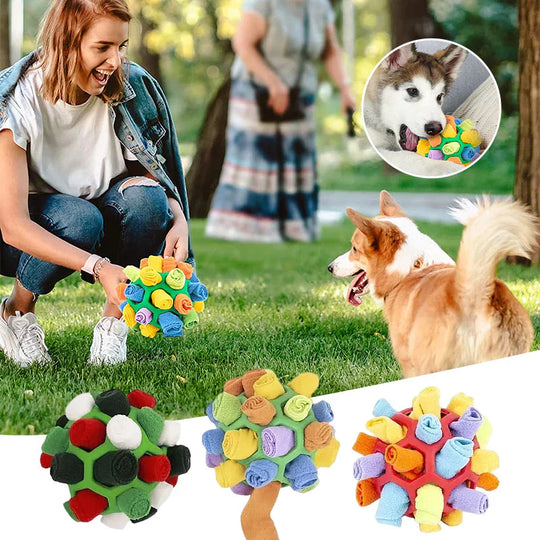 Snuffle Ball - Treat Toy | Interactive and Rewarding Pet Toy