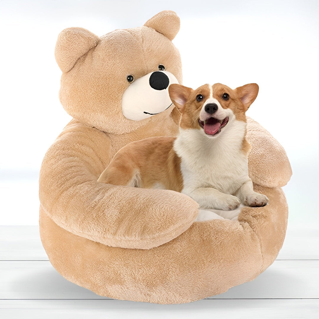 Luxury Teddy Blanket for Your Pet - Comfort and Style in One!