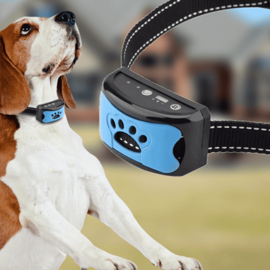 GentleDog™ Anti-Bark Collar for Dogs