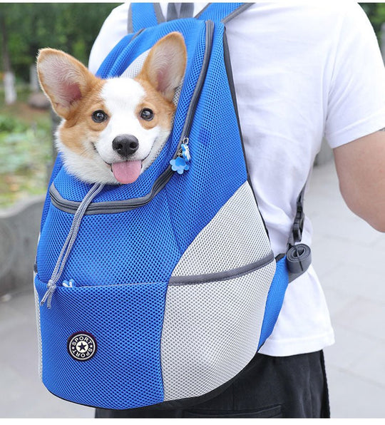 WizFinds - Perfect Backpack for Your Pet